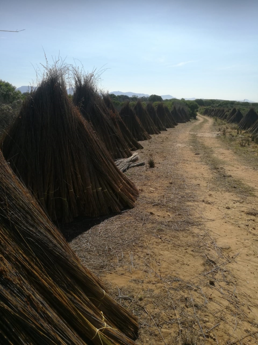  Bedroom Property for Sale in Riversdale Rural Western Cape